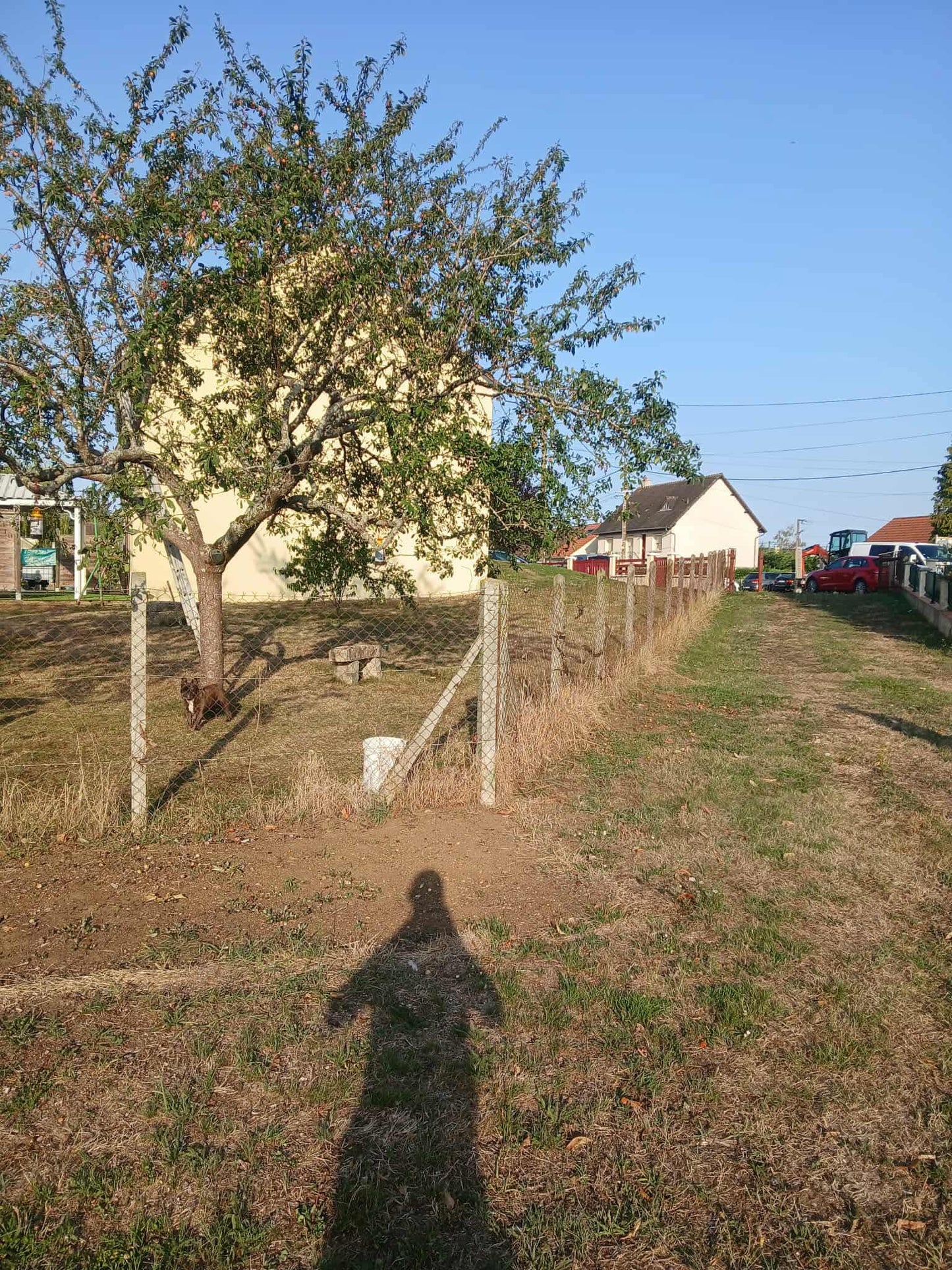 Clôture rigide verte BETAFENCE
