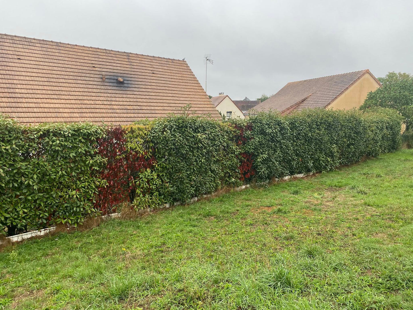 Clôture en composite OCEWOOD